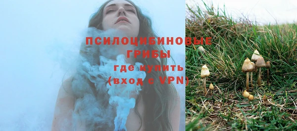 ГАЛЛЮЦИНОГЕННЫЕ ГРИБЫ Алексеевка