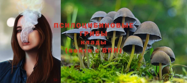 mdpv Алзамай