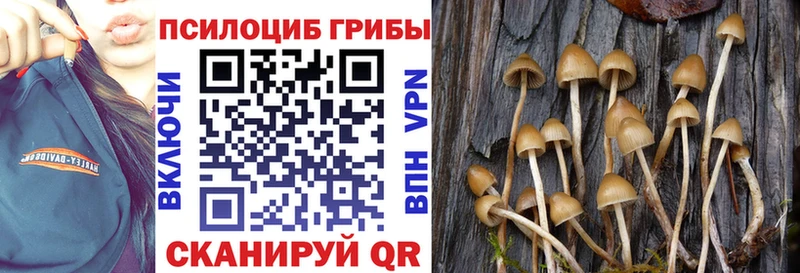 купить закладку Юрьевец Псилоцибиновые грибы ЛСД