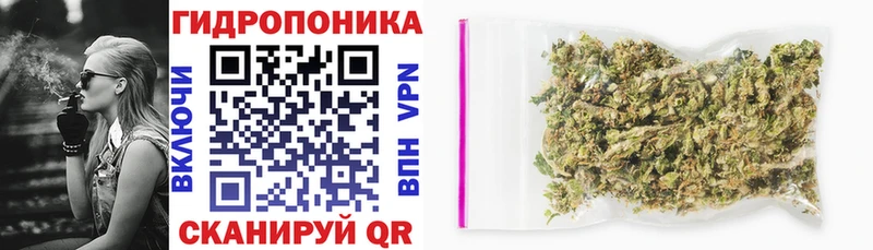 Конопля OG Kush Юрьевец